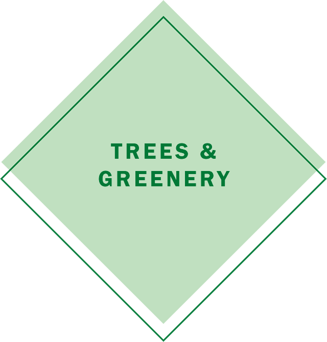 Trees & Greenery